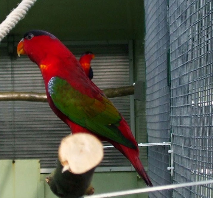 Foto 3